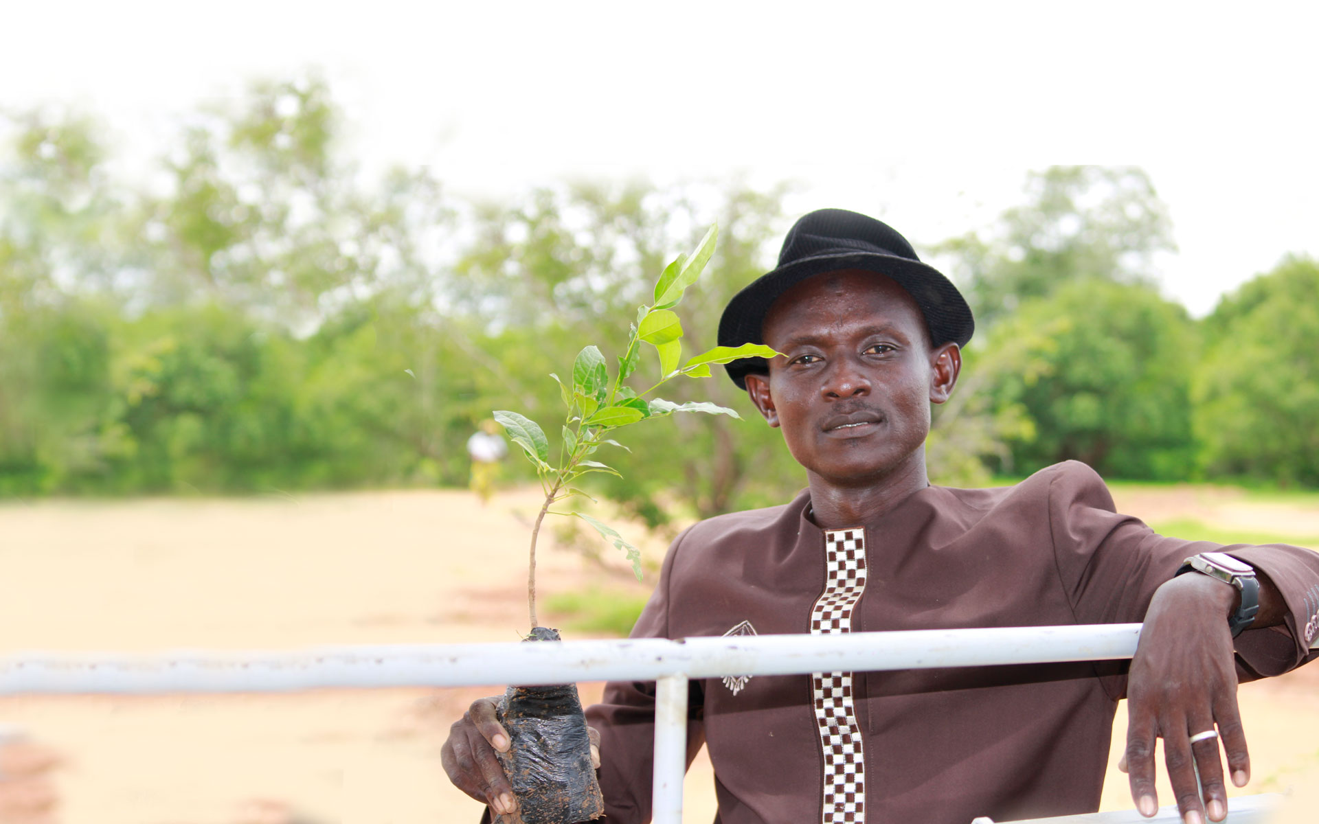 A man in Niger holding a tree sapling.