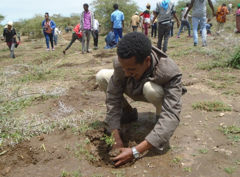 Breaking a tree planting world record in Ethiopia Tree Aid