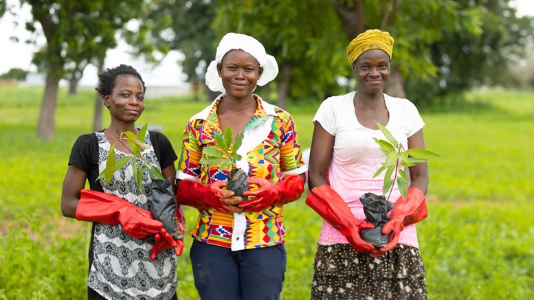 Three women standing together holding tree seedlings