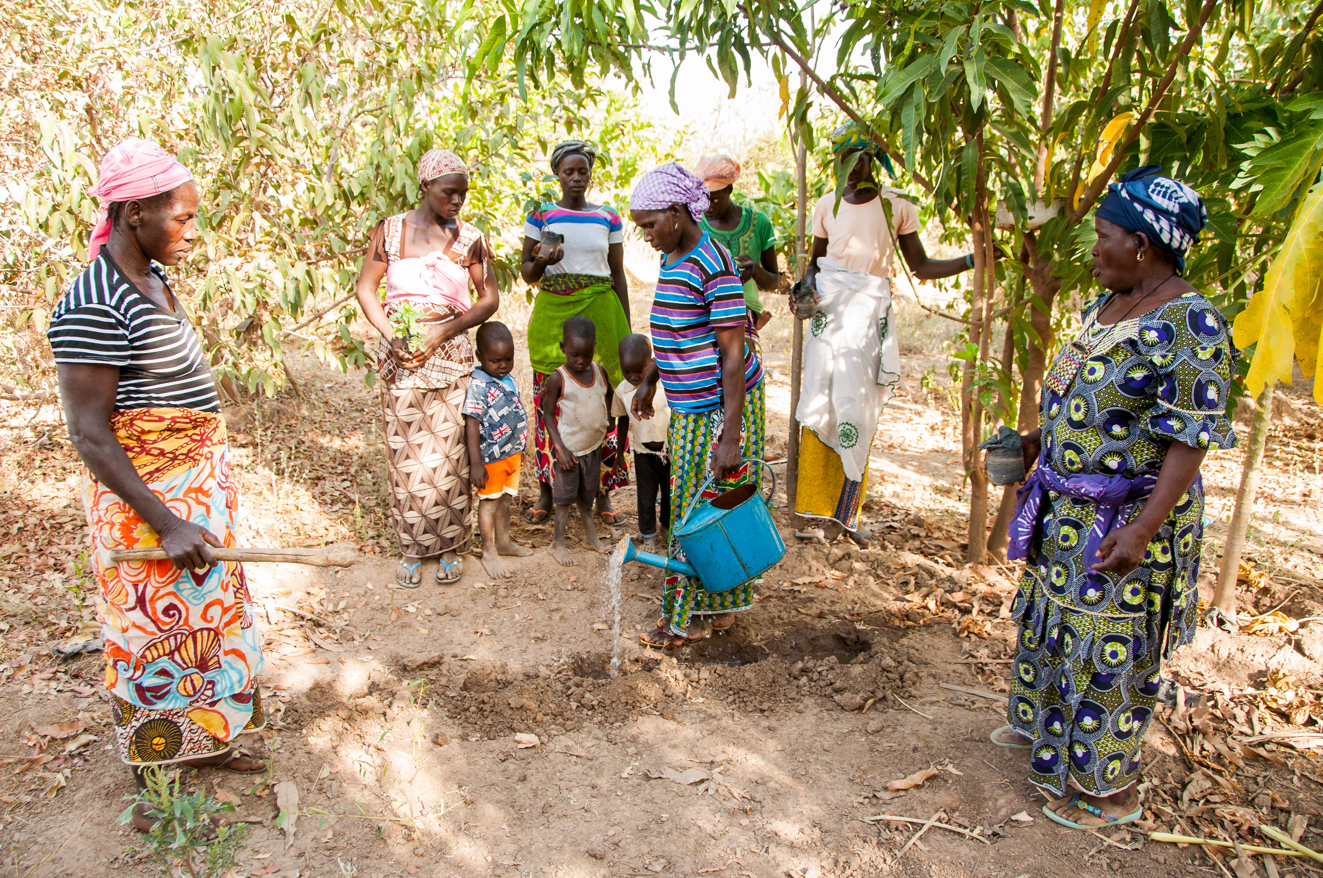 Women planting seedlings on the She Grows project.