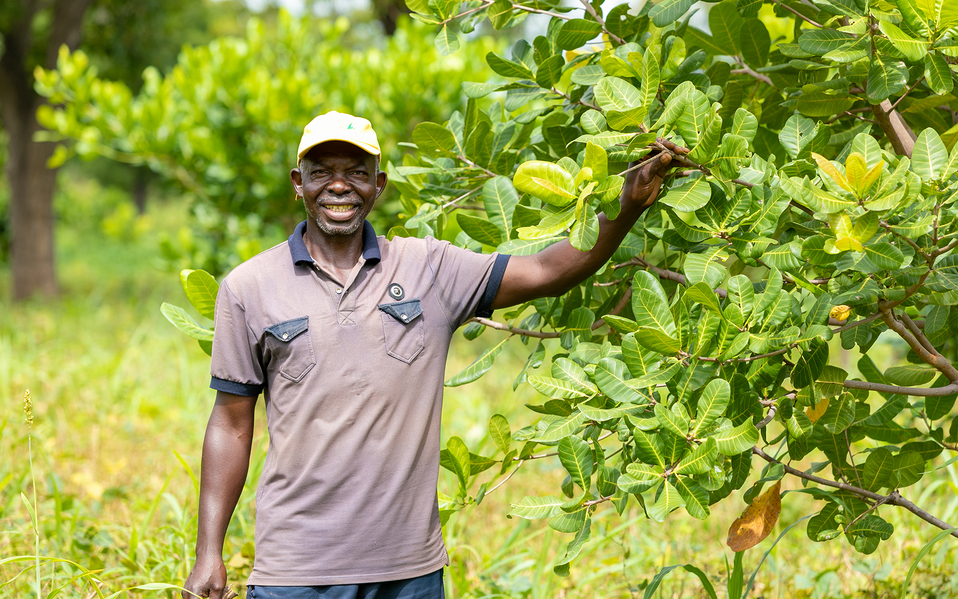 Dabir, a cashew farmer and part of Tree Aid