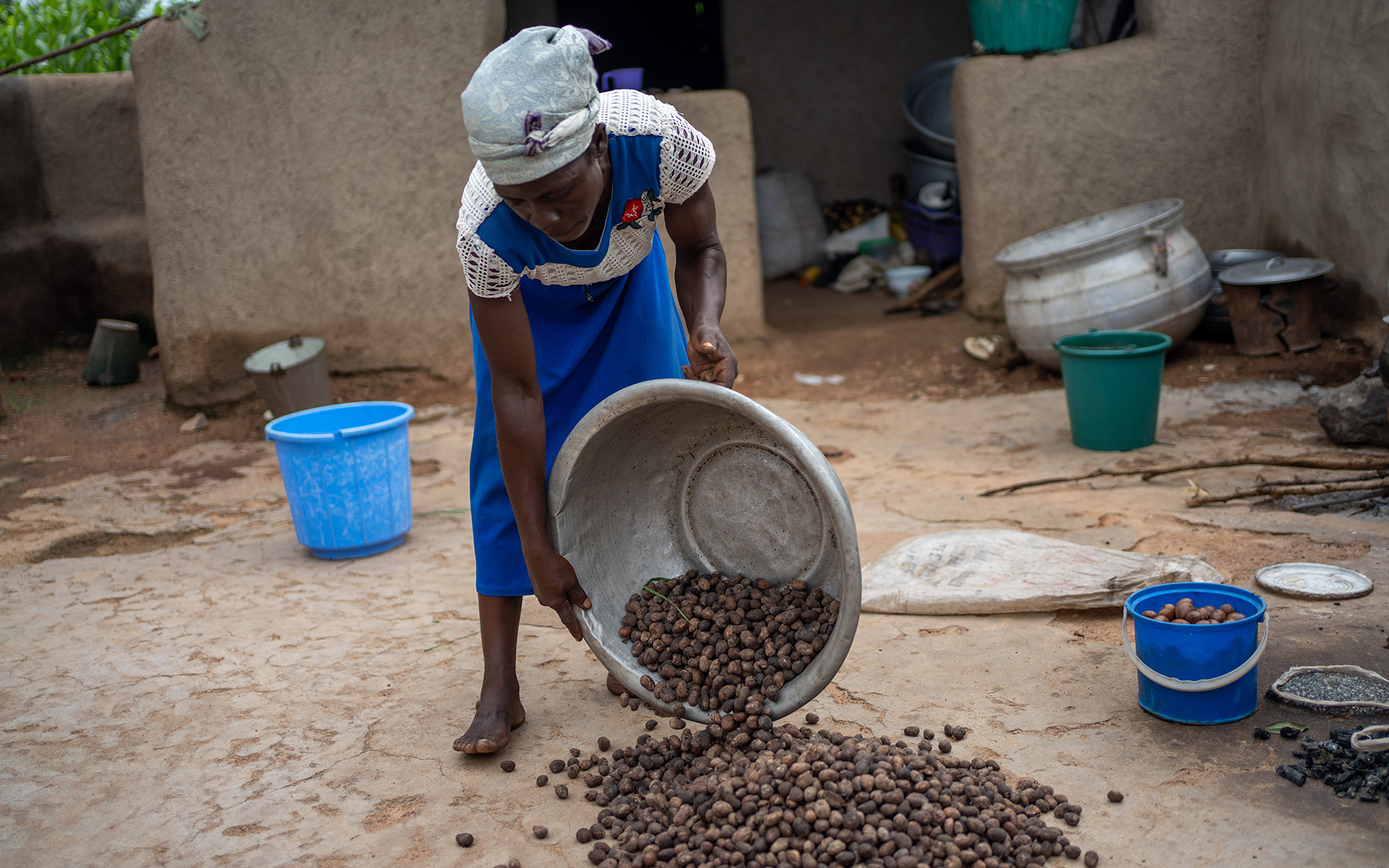 Abba Achana pouring out a bowl of shea nuts in her compound, ready to sort and dry them to make shea butter, © 2021 Tree Aid.