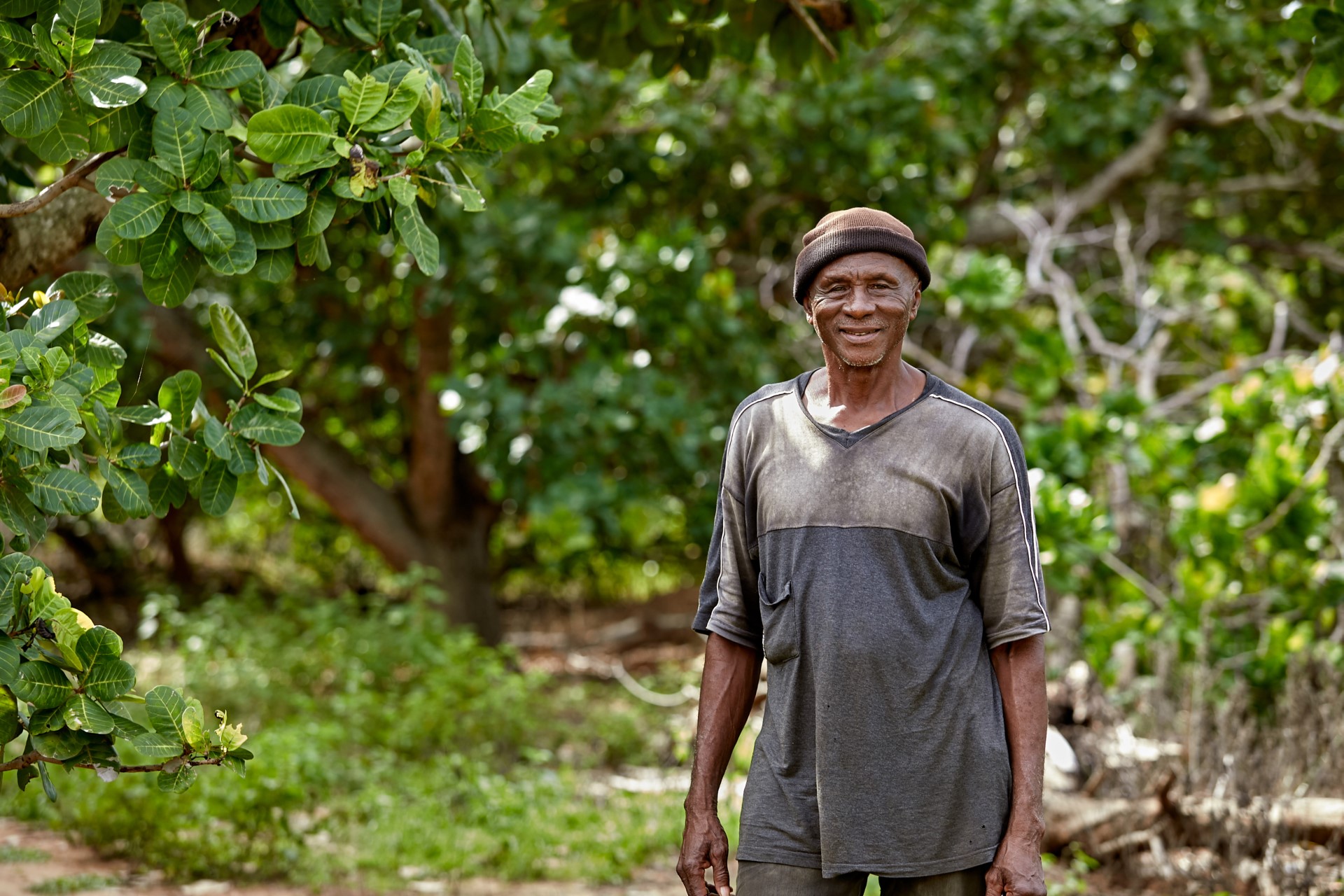 Philemon, a man working with Tree Aid to grow cashew enterprises, standing in front of cashew tree in Ghana.