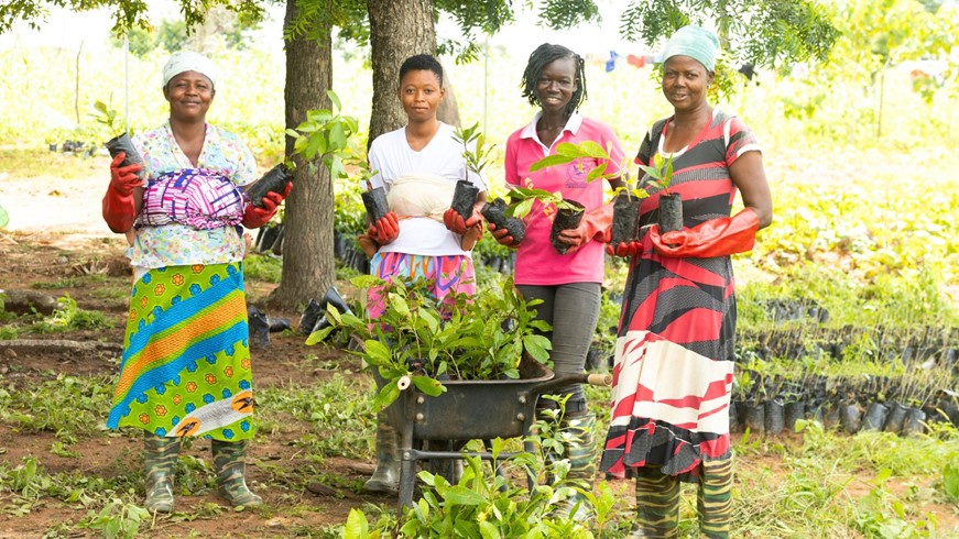 A group of four women holding tree seedlings and smiling at camera
