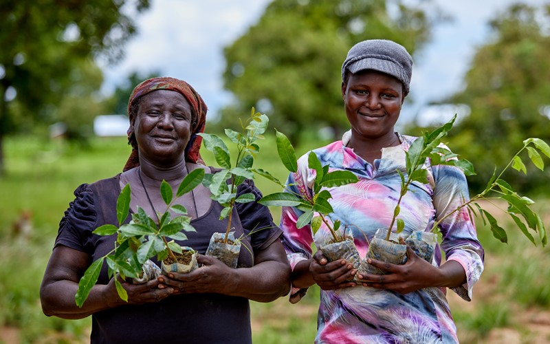 Kopiawu and Adwoa holding tree saplings and smiling in Ghana