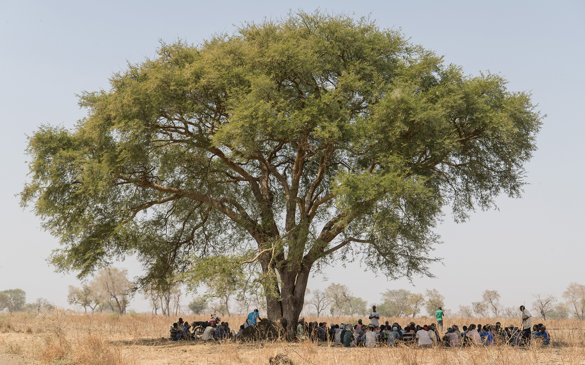 Community members gathered underneath a huge tree in their village in Ethiopia to get shelter from the sun.