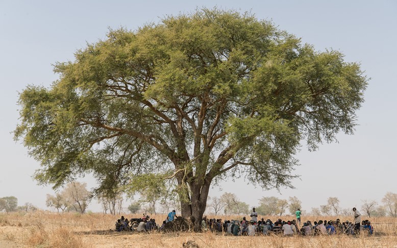 A group of people sitting beneath the shade of a tree in Ethiopia.