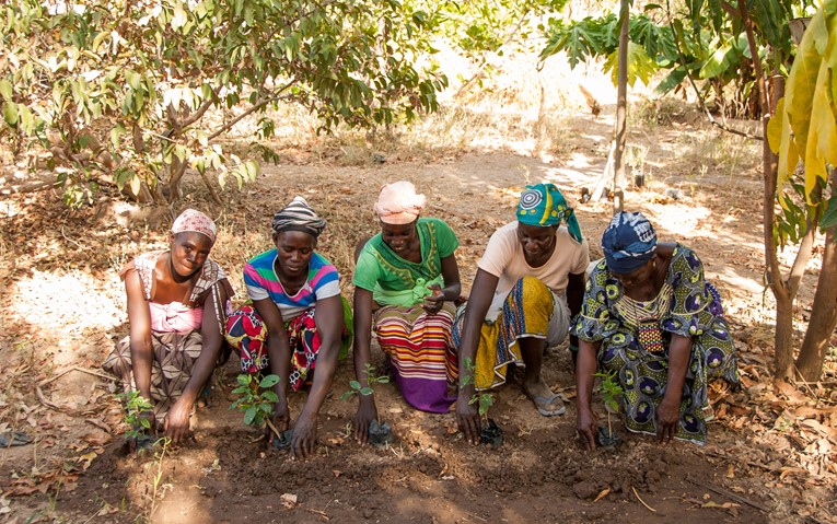 Women that have been supported by Tree Aid to grow trees and sustainable businesses.
