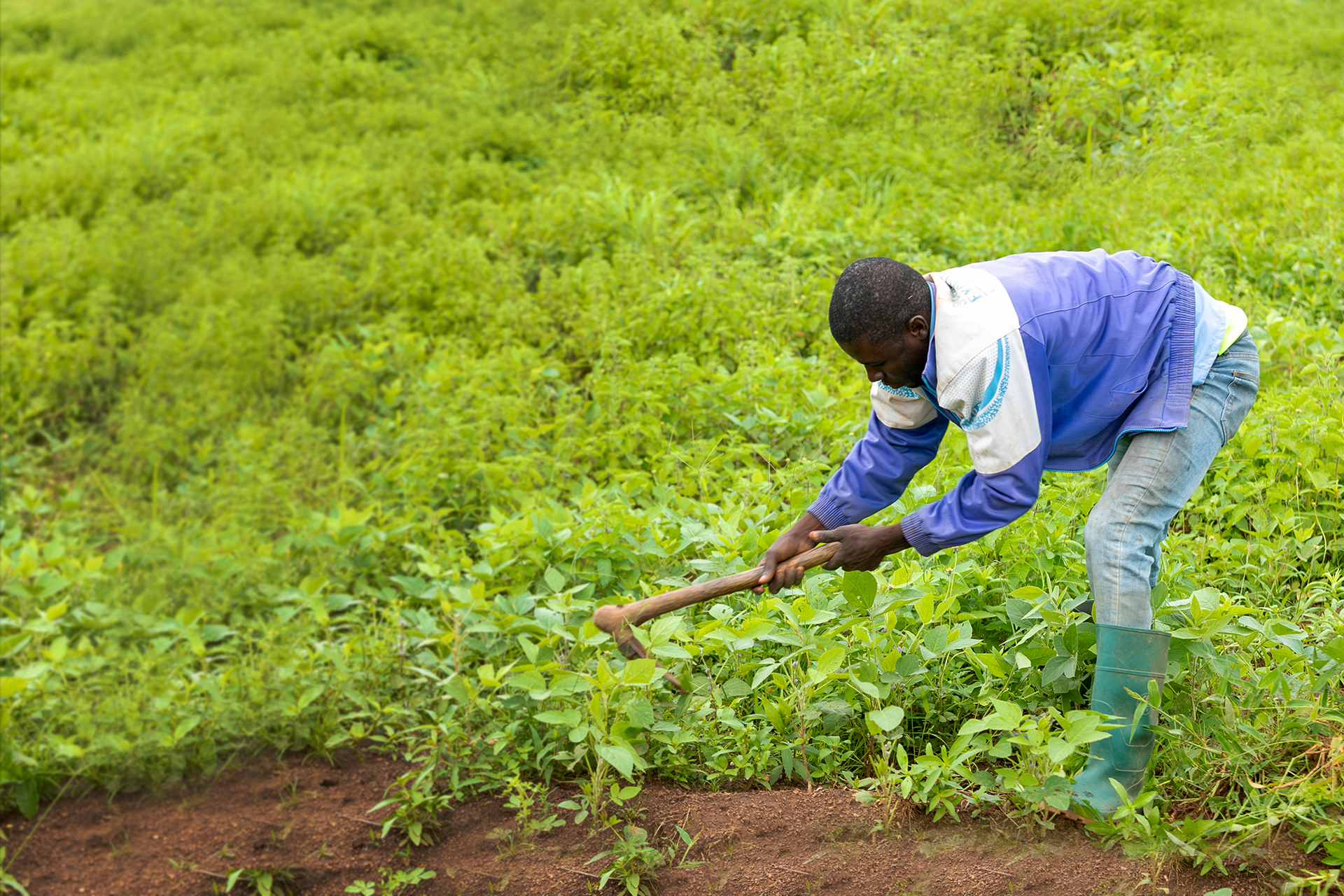 Francis, a man we are working with in Ghana, working on his farmland.