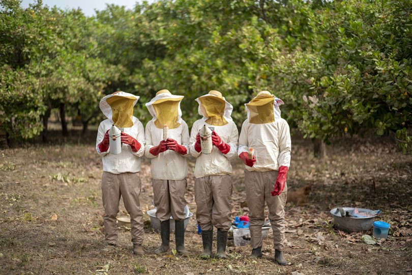 Four people wearing beekeeping suits standing in a line
