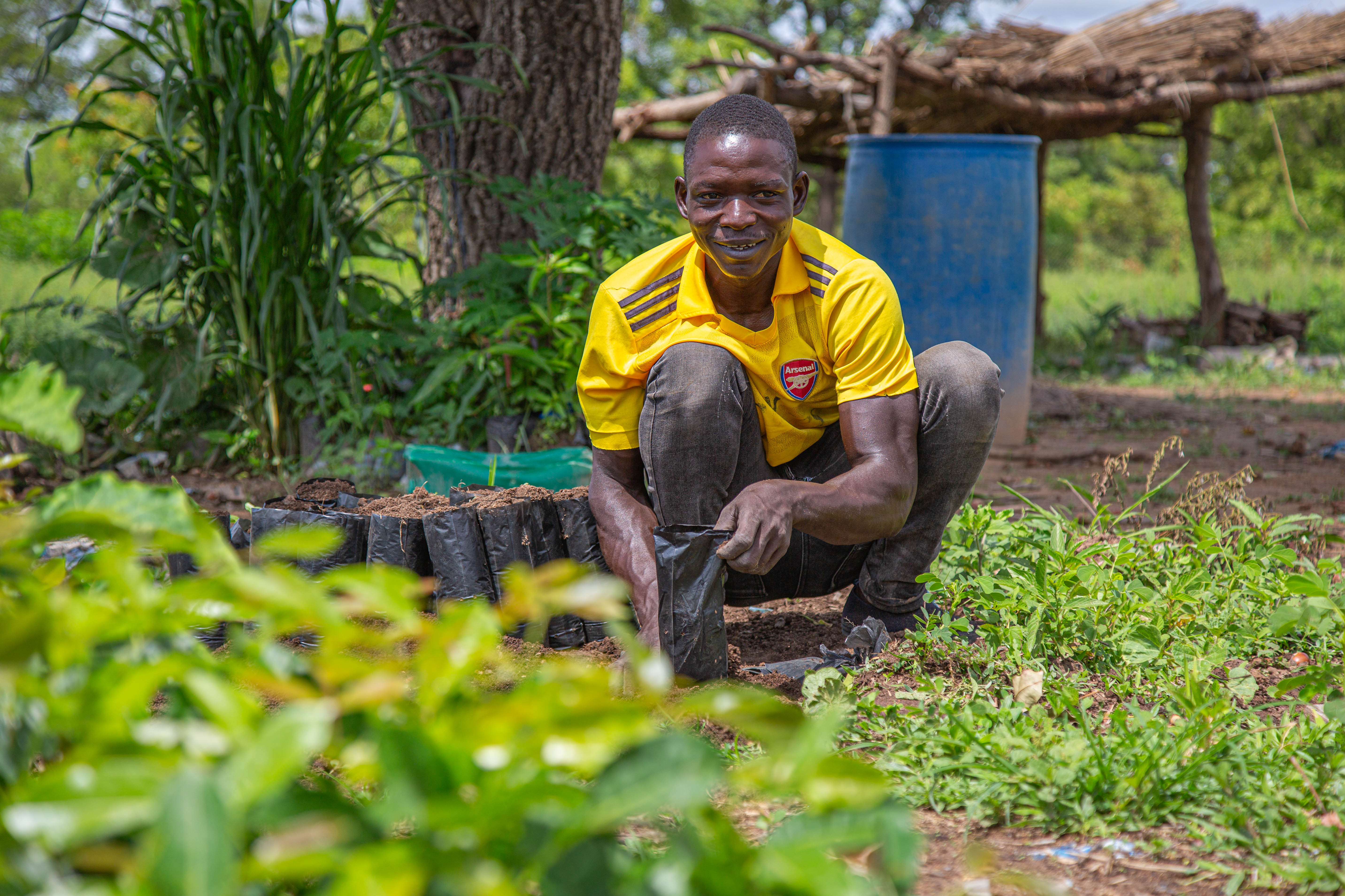 A man wearing a yellow t-shirt, kneeling on the ground and planting a tree. 