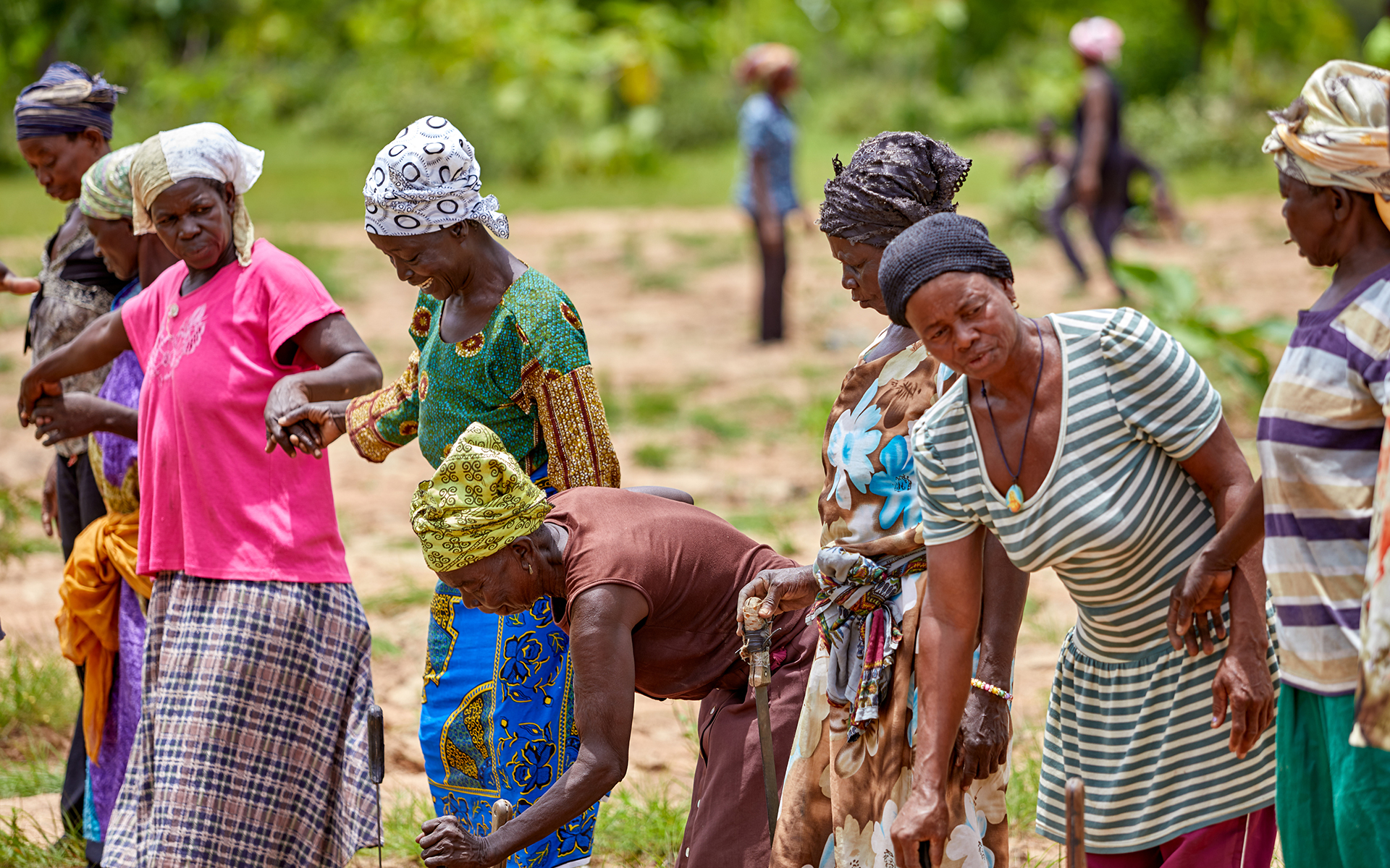Women in northern Ghana holding hands and smiling in celebration after they finished planting trees in their community.